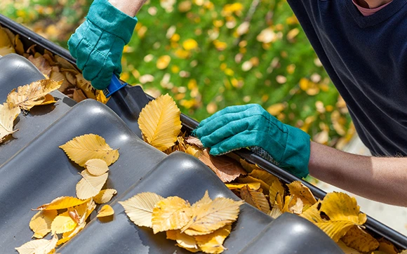 Professional Gutter Cleaning Service in Pasadena CA