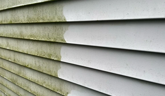 Safe and effective mold, mildew, and stain removal service in Victorville, CA